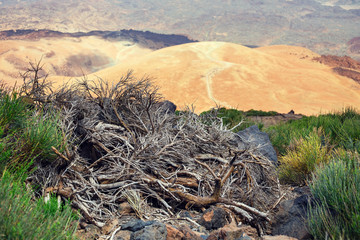 Montana Blanca in Teide National Park, Tenerife, Canary Islands, Spain