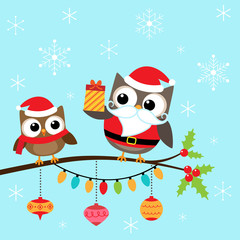 Christmas owls on branch