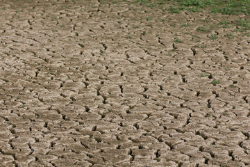 Dry land skin