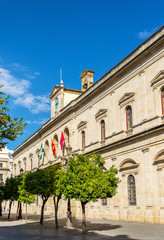 Fototapeta na wymiar Casa consistorial, the city hall of Sevilla, Spain