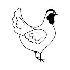 Chicken icon. Animal farm life nature and fauna theme. Isolated design. Vector illustration