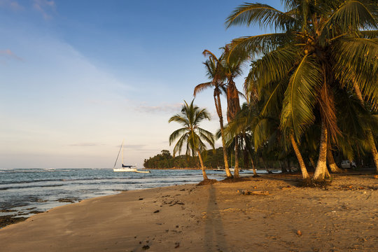 View of a beach with palm trees and boats in Puerto Viejo de Talamanca, Costa Rica, Central America