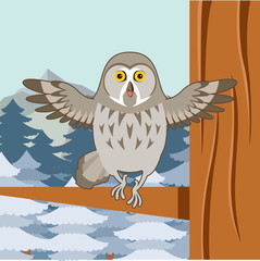 Grey Owl on the winter tree flat background
