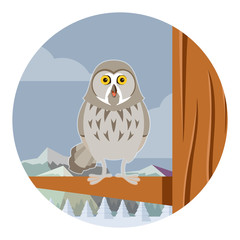 Grey Owl on the winter tree flat background