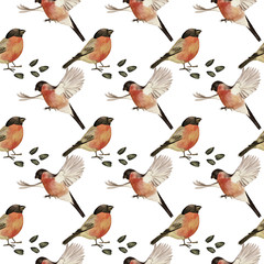 Watercolor seamless pattern of bullfinches and seeds