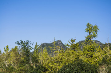 The countryside scenery with blue sky in autumn
