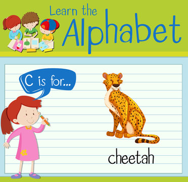 Flashcard letter C is for cheetah