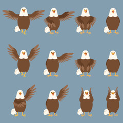 Set of flat eagle icons