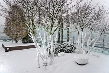 Kiev winter,  garden on the roof of a skyscraper