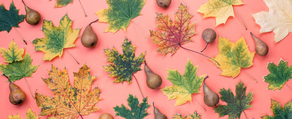 Various autumn leaves with pears on a pink background