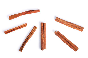 Cinnamon sticks, top view, paths