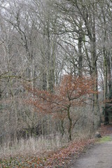 Pellens-Park in Bremen im Dezember