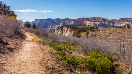 The narrow path among the dry grass toward the canyon. Scenic view of the canyon. Zion National Park, Utah, USA
