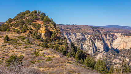 Fototapeta na wymiar Beautiful landscape. Green trees on rock slopes. Scenic view of the canyon. Zion National Park, Utah, USA