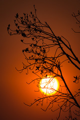 Sunset in Ethosha National Park, Namibia