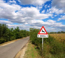 deer crossing sign