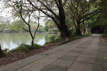 Walking road on public park