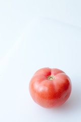 Tomatoes on a white background