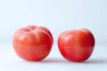 Tomatoes on a white background