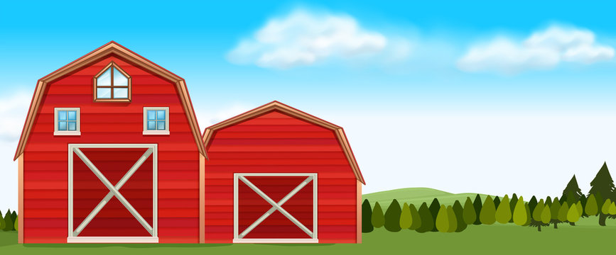 Farm scene with barns in field