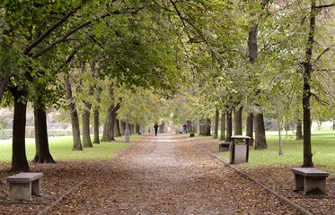 Path of park with benches in autumn