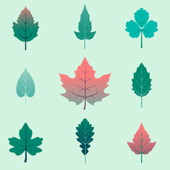 autumn leaves set, isolated on white background. simple cartoon flat style, vector illustration.