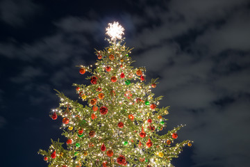 夜空とクリスマスツリー（左寄り）