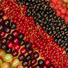 Collection of variety fruits (currants, gooseberries, raspberrie) isolated on white background