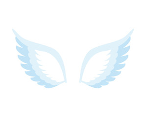 Fototapeta na wymiar Angel Wings Isolated. Feathers of bird on white background