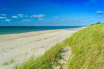 Fototapeta na wymiar Sandy sea beach