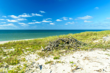 The sandy beach on the coast of the Baltic Sea