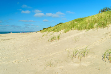 The sandy beach on the coast of the Baltic Sea