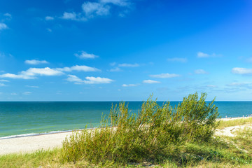 Fototapeta na wymiar The sandy beach on the coast of the Baltic Sea