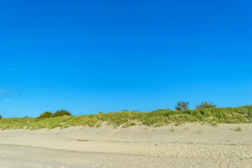 The sandy beach on the coast of the Baltic Sea