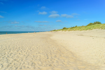 Sandy sea beach