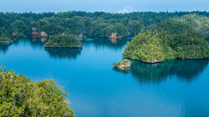 Obraz premium Many Rocks covered by Palmtrees in Passage between Gam and Waigeo, View Point near Warikaf Homestay. West Papuan, Raja Ampat, Indonesia