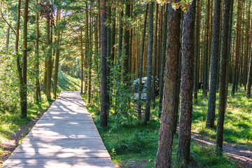 RUSSIA, VILLAGE of "MARINE"- August, 2016: the Curonian spit. Dune EFA