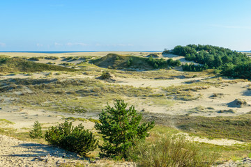RUSSIA, VILLAGE of "MARINE"- August, 2016: the Curonian spit. Dune EFA