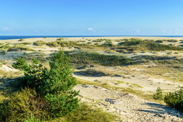 RUSSIA, VILLAGE of "MARINE"- August, 2016: the Curonian spit. Dune EFA