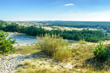 RUSSIA, VILLAGE of "MARINE"- August, 2016: the Curonian spit. Dune EFA