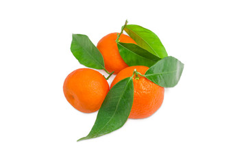 Several mandarin oranges with twigs and leaves on light background