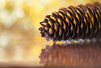 Golden Christmas pine cone greeting card background