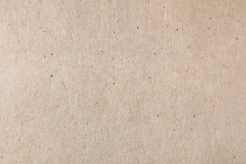 背景素材 茶色 Wall Mural Wallpaper Murals Wallsheaven-kitsune