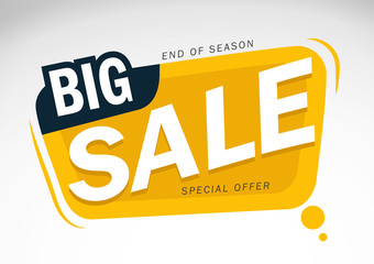 Big Sale and special offer. Vector illustration.Theme color.