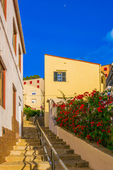 view of a colorful narrow street in gibraltar