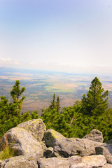 A beautiful mountain landscape with trees