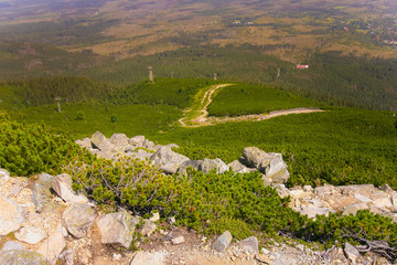 A beautiful mountain landscape with trees