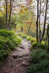 A beautiful mountain landscape with trees