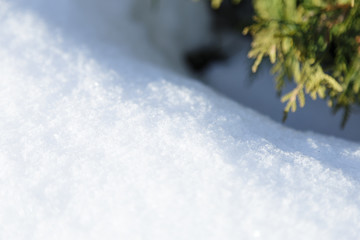 Background, texture, white fluffy snow, different depth of field, snowflakes, sun, winter, frost, white, new year, crystals, arborvitae, green, sunset,