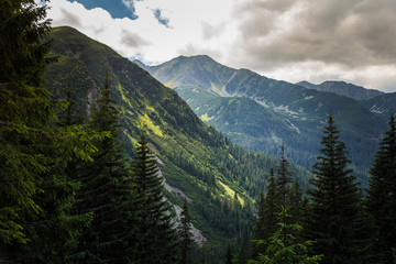 A beautiful mountain landscape with trees